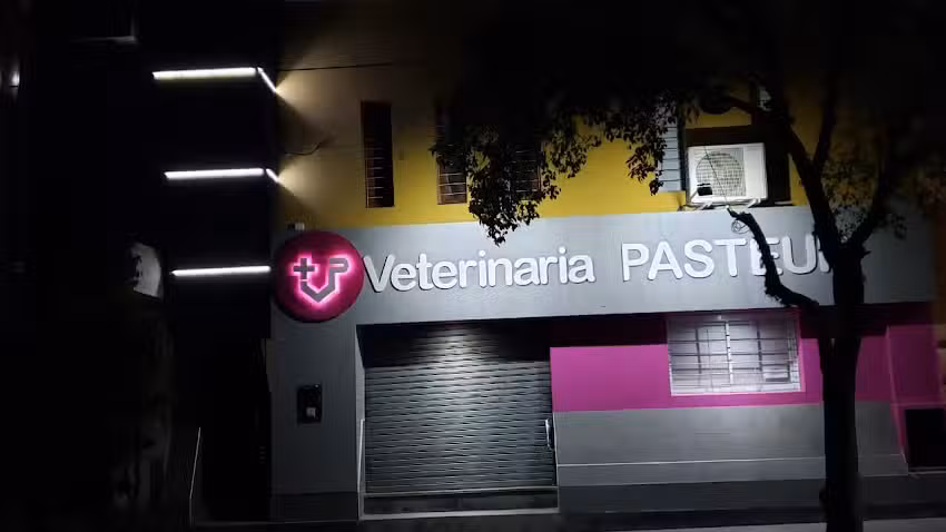 Veterinaria Pasteur