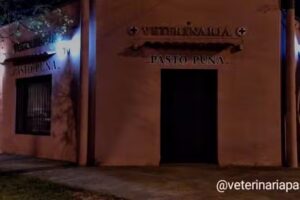 Veterinaria Pasto Puna
