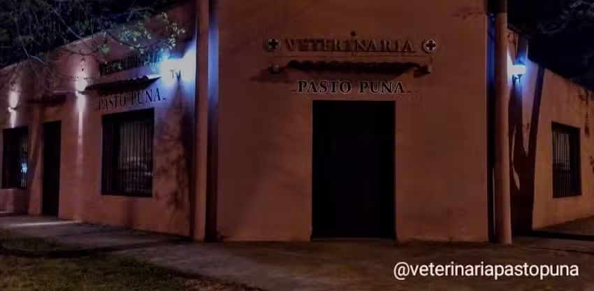 Veterinaria Pasto Puna