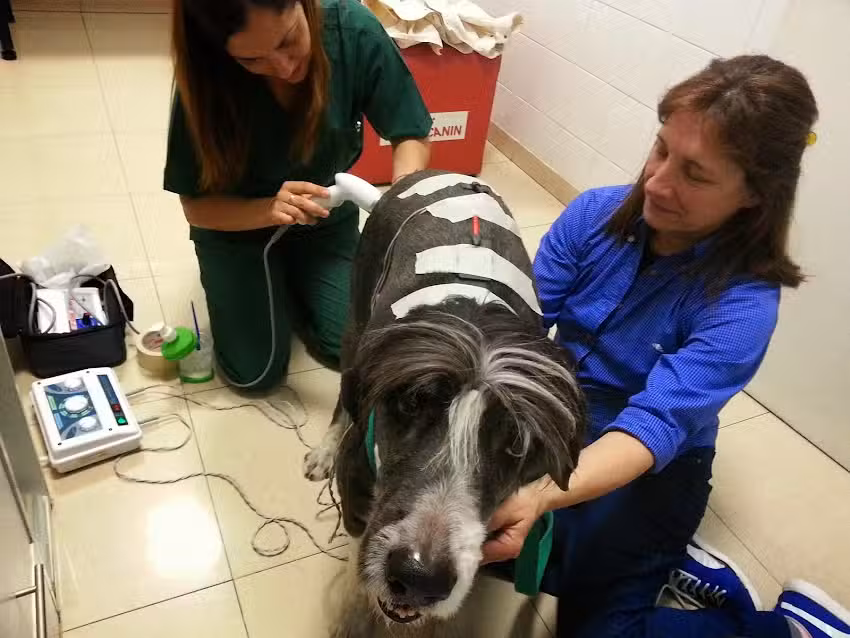 Veterinaria Patagonia en Recoleta.