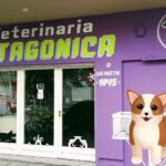 Veterinaria Patagonica