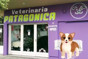 Veterinaria Patagonica