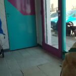 Veterinaria Patricios