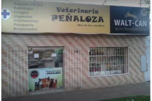 Veterinaria Pe&ntilde;aloza