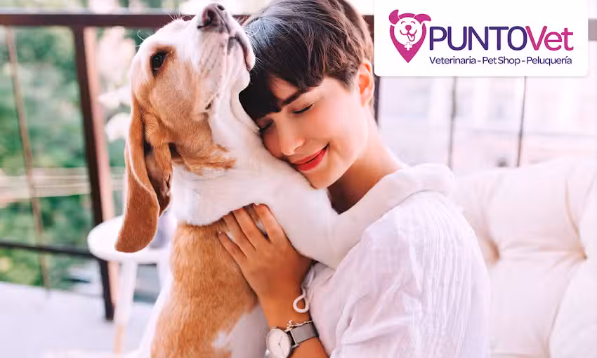 Veterinaria-Pet Shop PuntoVet Villa Pueyrred&oacute;n