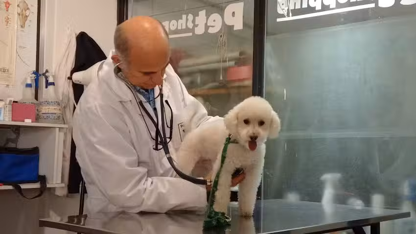 Veterinaria Petshopping. Homeopatia . Peluqueria Canina.