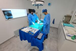 Veterinaria Peumayen