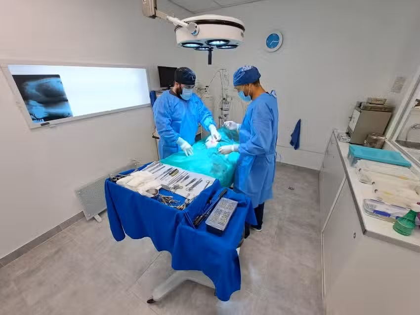 Veterinaria Peumayen