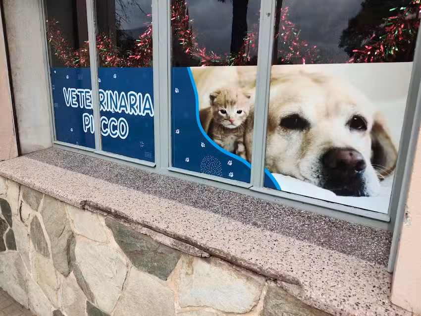 Veterinaria Picco
