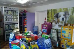 Veterinaria Pichi&Michi Agrelo