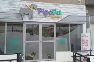 Veterinaria Pipovet