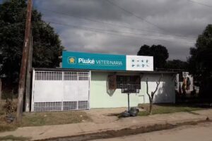 Veterinaria Piuk&eacute;
