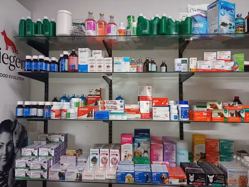 Veterinaria Piva &rdquo; Salud y bienestar animal&rdquo;