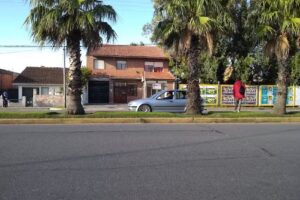 Veterinaria Planeta Animal