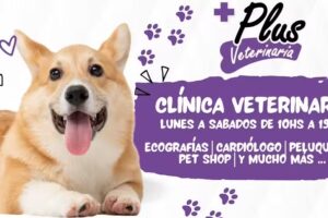Veterinaria Plus