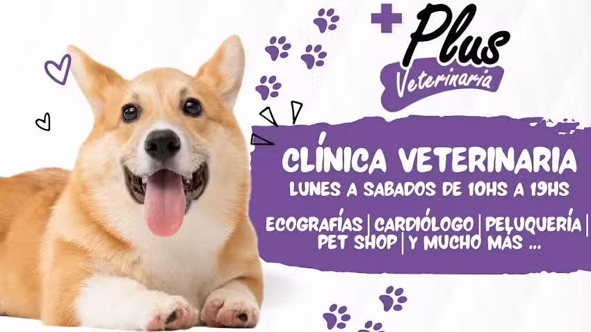 Veterinaria Plus