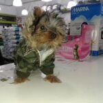 VETERINARIA PUEBLO NUEVO