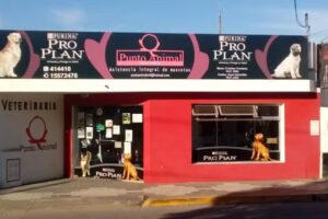 Veterinaria PUNTO ANIMAL