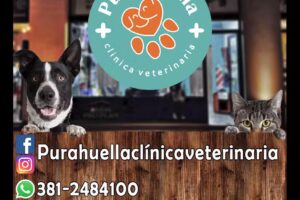 Veterinaria Pura Huella