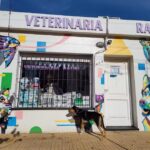 VETERINARIA RAFIKI