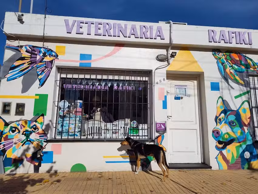 VETERINARIA RAFIKI