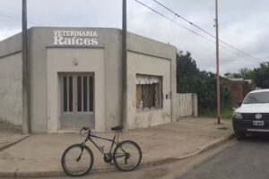 Veterinaria Raices
