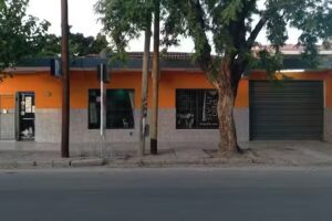 Veterinaria Ra&iacute;ces