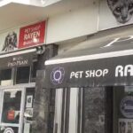 Veterinaria Rayen