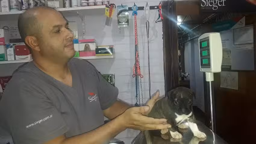 Veterinaria Rocamora