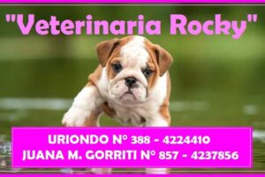 Veterinaria &ldquo;Rocky 2&rdquo;