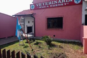 Veterinaria Ruca Hueney