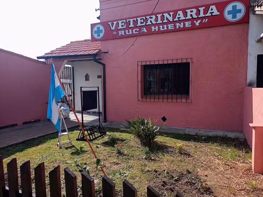 Veterinaria Ruca Hueney