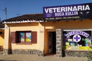 Veterinaria Ruca kullin