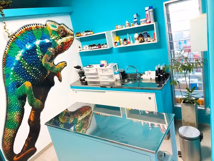 VETERINARIA SAINT GERMAIN