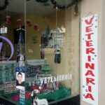 Veterinaria Salud Animal