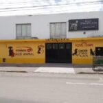 Veterinaria Salud Animal