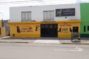 Veterinaria Salud Animal