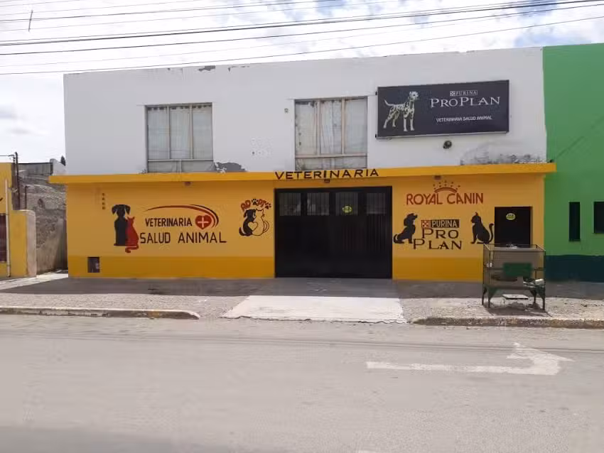 Veterinaria Salud Animal