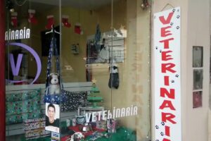 Veterinaria Salud Animal