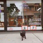 Veterinaria San Agustin