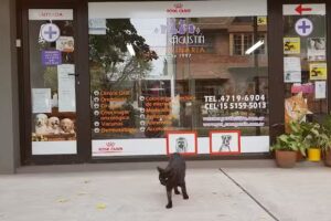 Veterinaria San Agustin