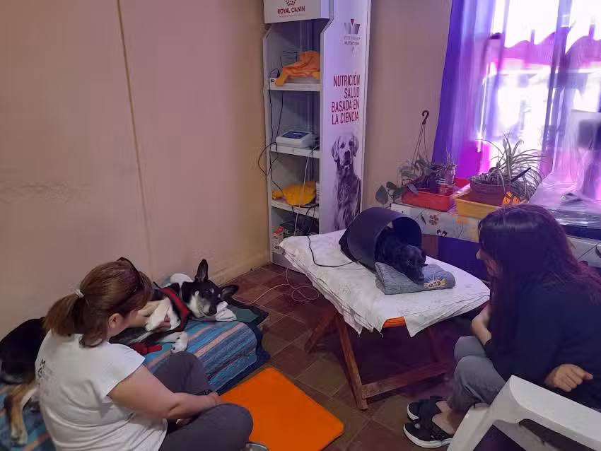 Veterinaria San Andres