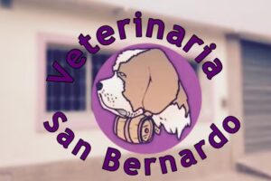 Veterinaria San Bernardo