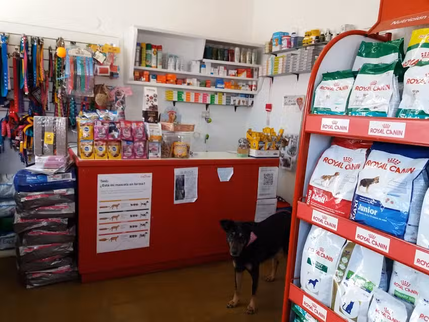 Veterinaria San Francisco