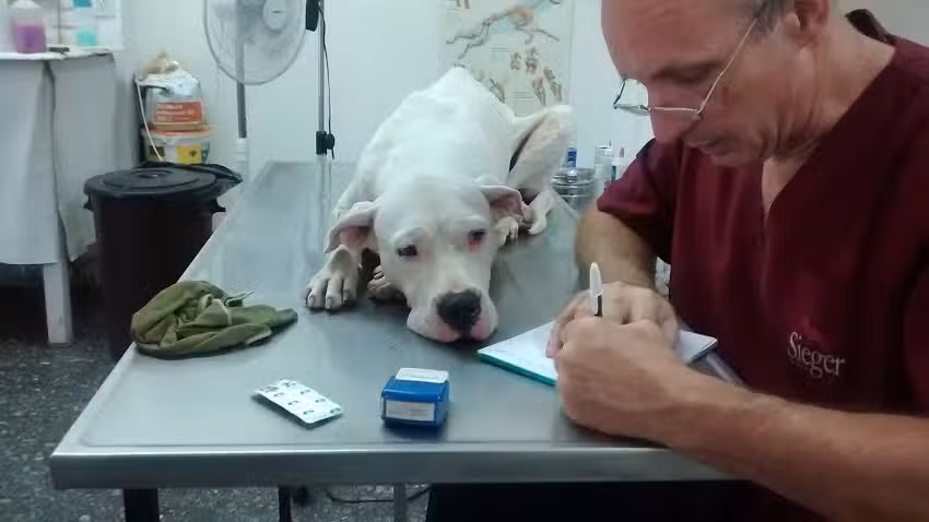 Veterinaria San Francisco de As&iacute;s