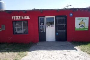 veterinaria san jorge
