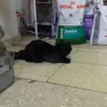 Veterinaria San Jose