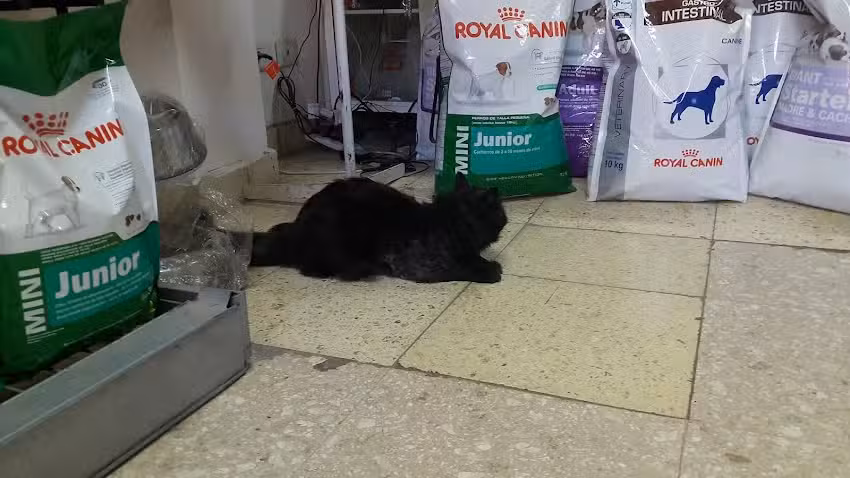 Veterinaria San Jose