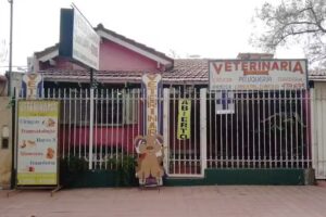 Veterinaria san luis
