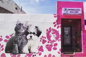 Veterinaria San Luis